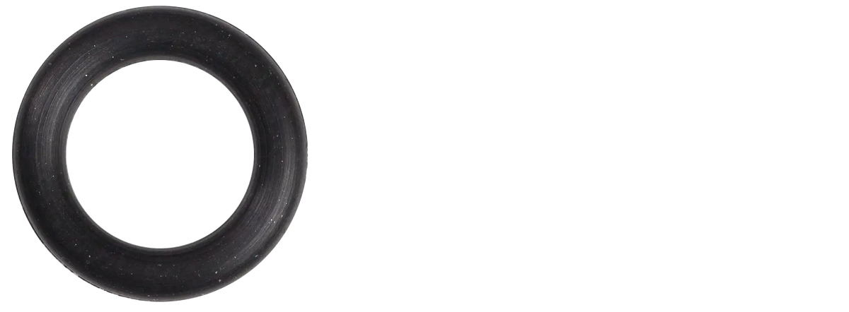 Guarnizione O-ring