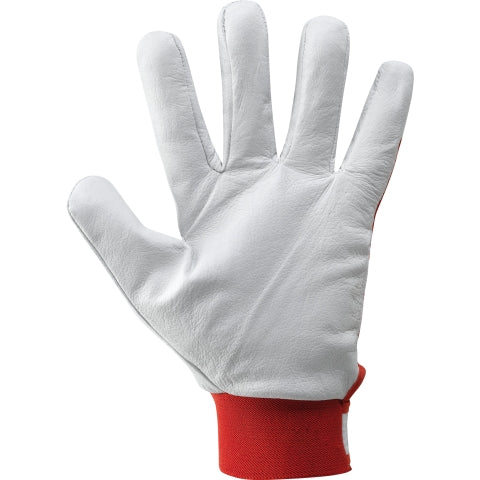 316035 BALL WINTER - DPI e Sicurezza - Neri
