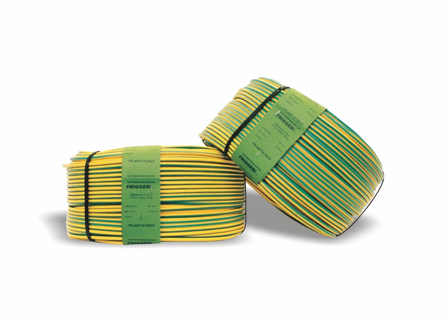 Cavo di terra giallo-verde Friggeri TE-CGV16-100