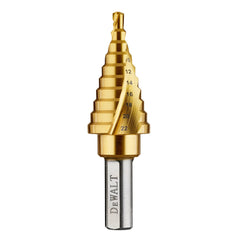 Punta a gradini Extreme 4-22mm passo 2mm DeWalt DT90246-QZ