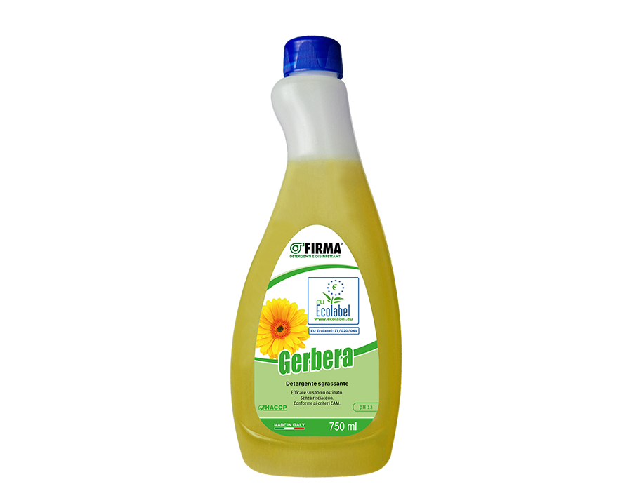 Gerbera