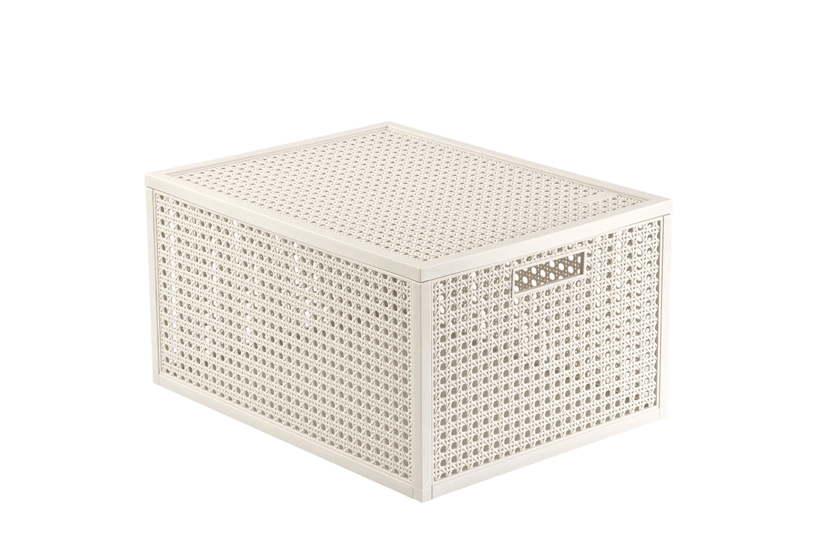 Cesto portaoggetti con coperchio Kaya M 20 L beige Curver