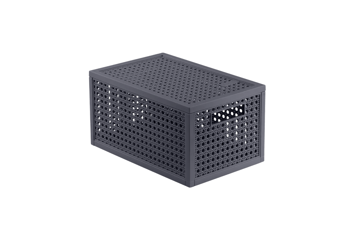 Cestino portaoggetti con coperchio Kaya S 7 L grigio Curver