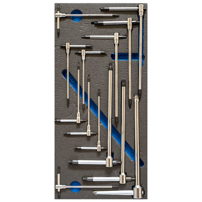 Serie DI Chiavi Torx A T IN Termoformato Morbido - Fervi