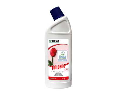 Tulipano