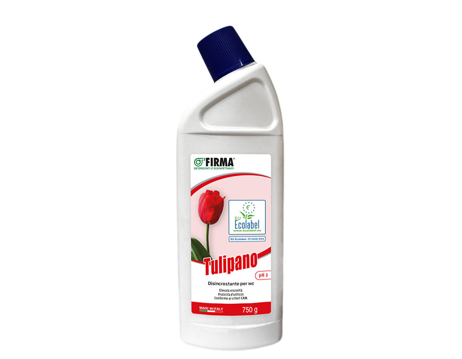 Tulipano
