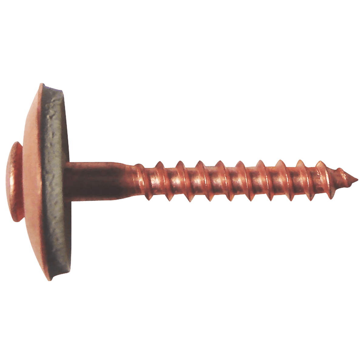 Vite per Lattoneria VIR-TORX Bossong