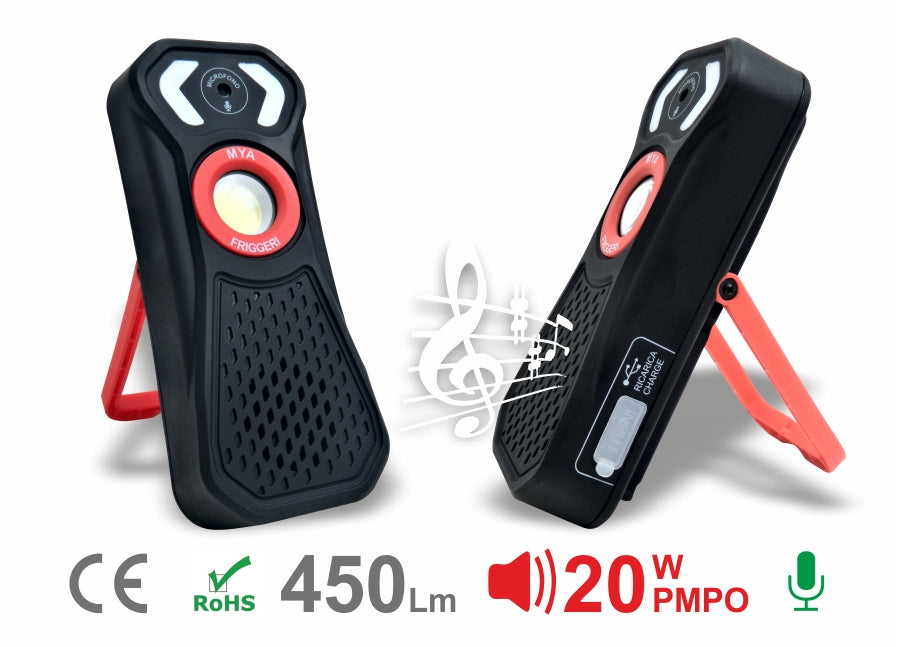 Illuminazione FR-MYA Friggeri