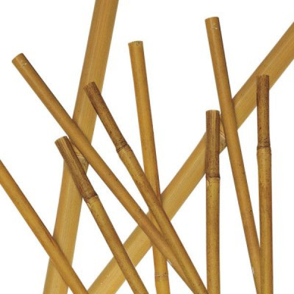 CANNETTE in Bambù Verdelook