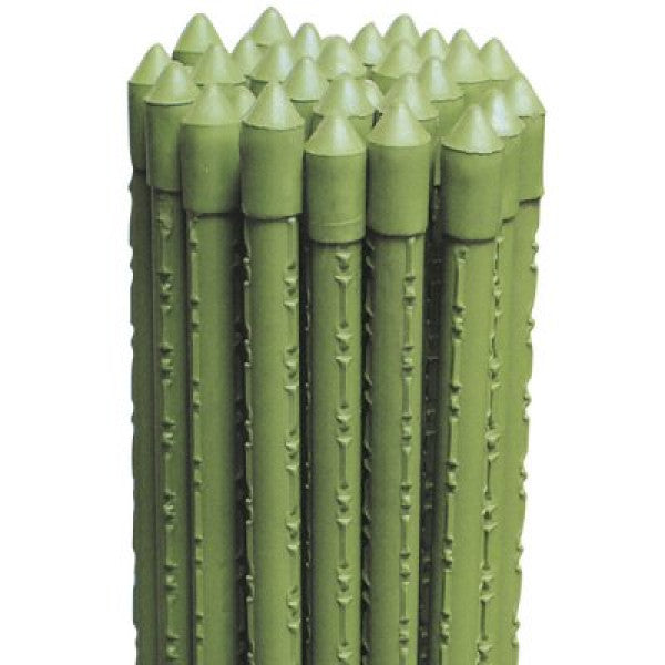 CANNETTE Metallo Plastificato Verdelook