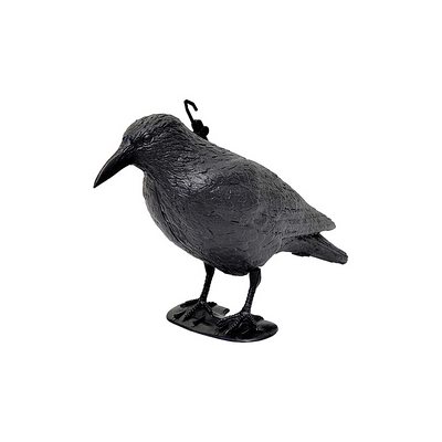 CORVO DISSUASORE