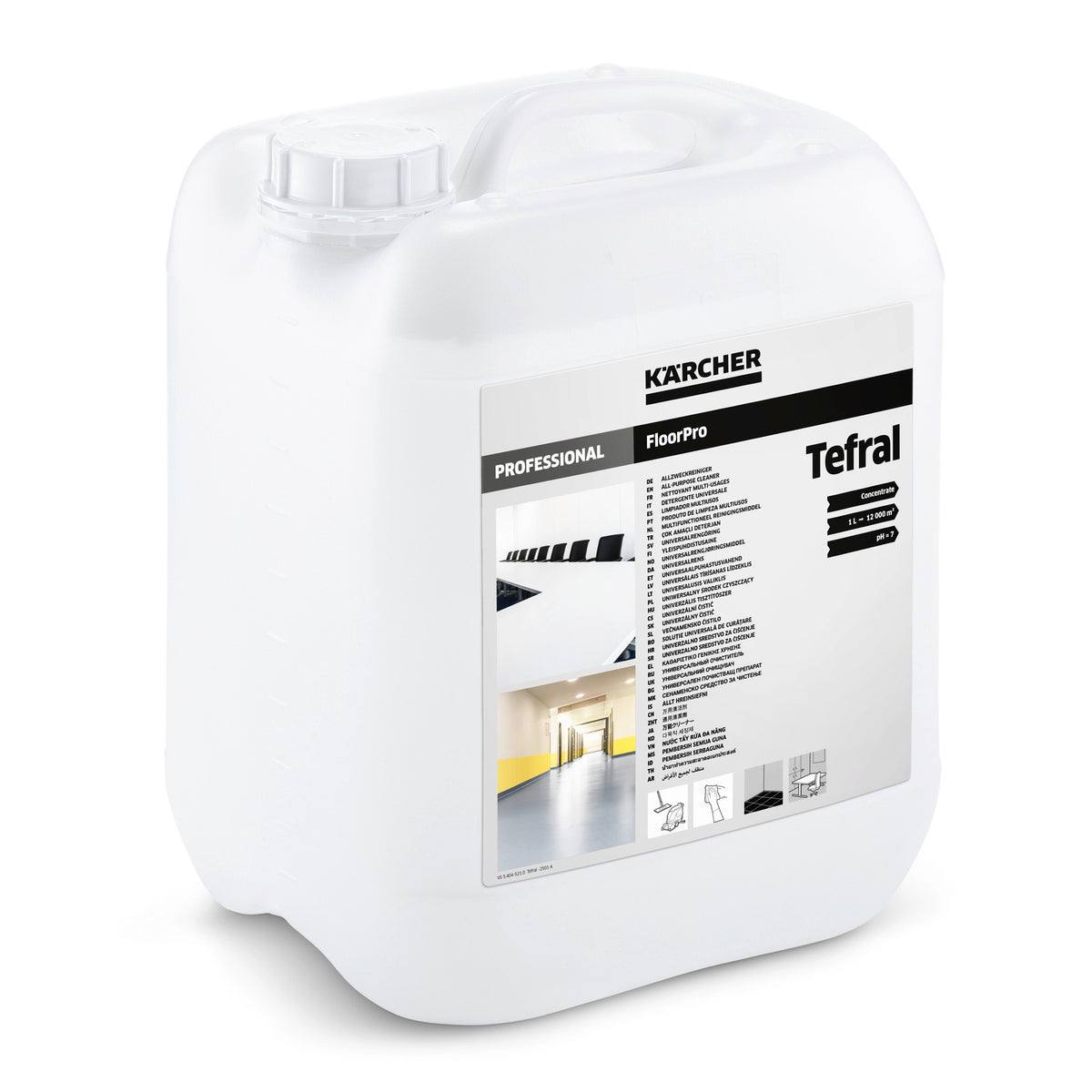 Detergente multiuso Tefral, 10l Kärcher