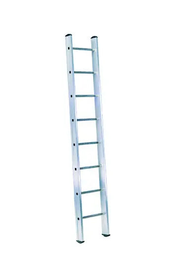 Svelt E1 - Scale professionali