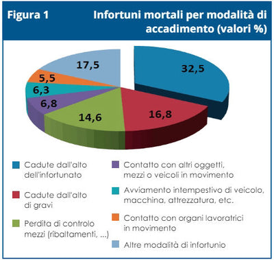Pasini Progettare ed installare sistema anticaduta