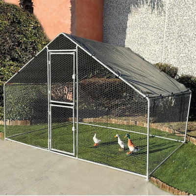 GABBIA POLLI Verdelook