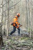 Testine portafilo Husqvarna - vista 2