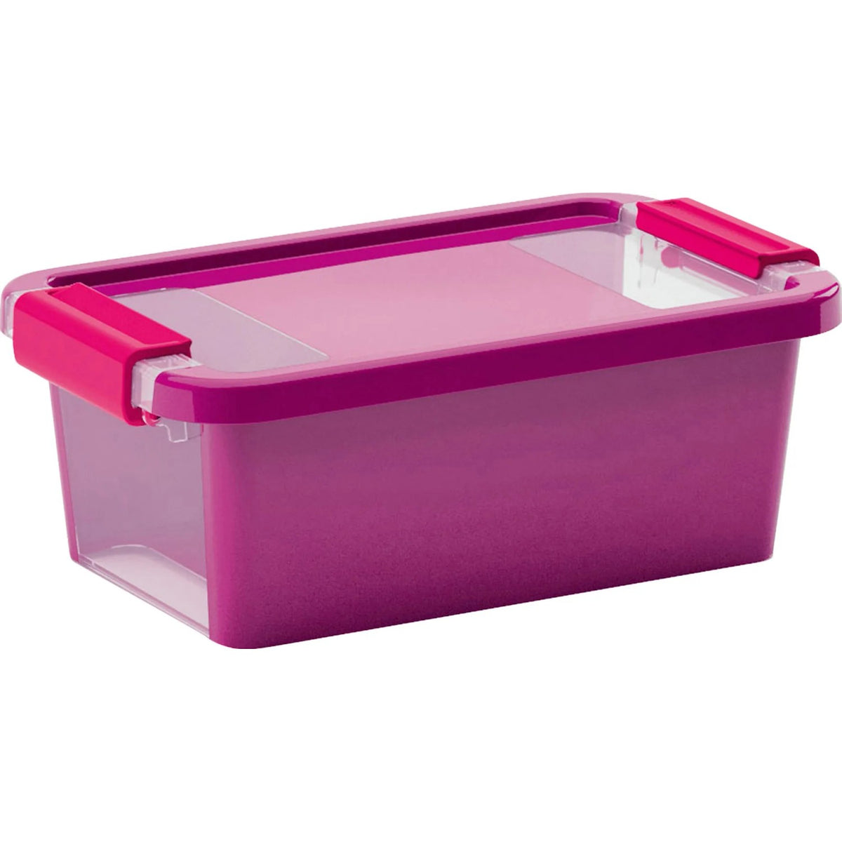 Contenitore con coperchio Bi Box XS 3 L 26,5x16x10 cm viola/trasparente Keter