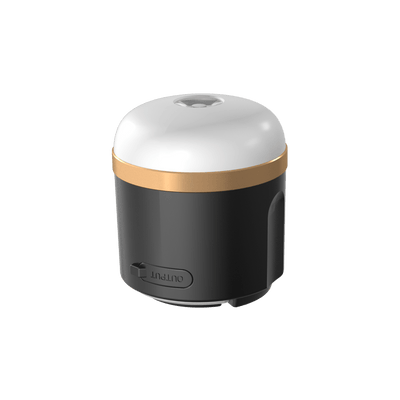 Lanterna LED da campeggio 400 lm con batteria al litio EcoFlow
