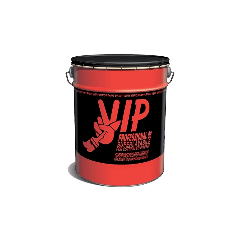 PITTURA MURALE PROFESSIONAL 08