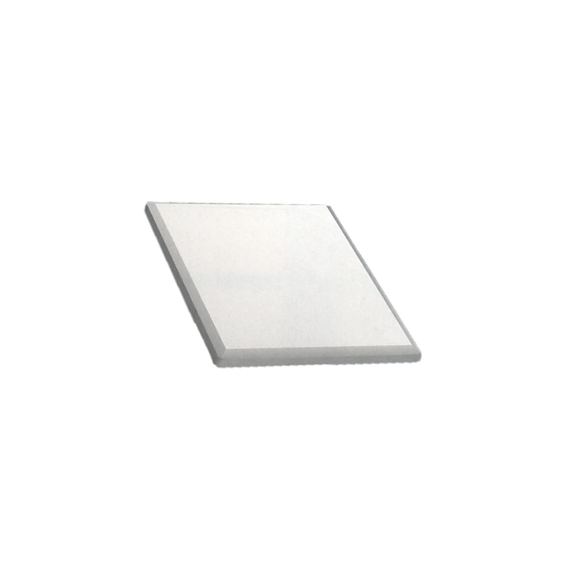 PLACCA CON MOLLE CPU 1616
