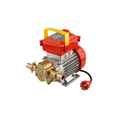 POMPA ROVER BE - G 20