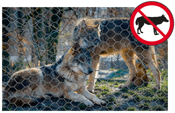 Pasini RETE ANTI LUPO - Reti e Prodotti GEO - Pasini Reti