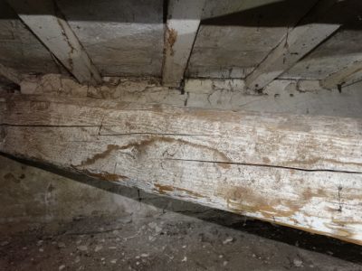Resine e Tessuti per Rinforzo Strutturale Kimitech ANTITARLO Kimia