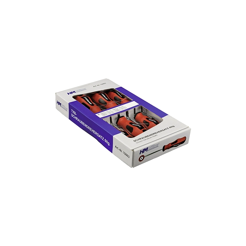 SERIE 6 CACCIAVITI TORX CON FORO HM