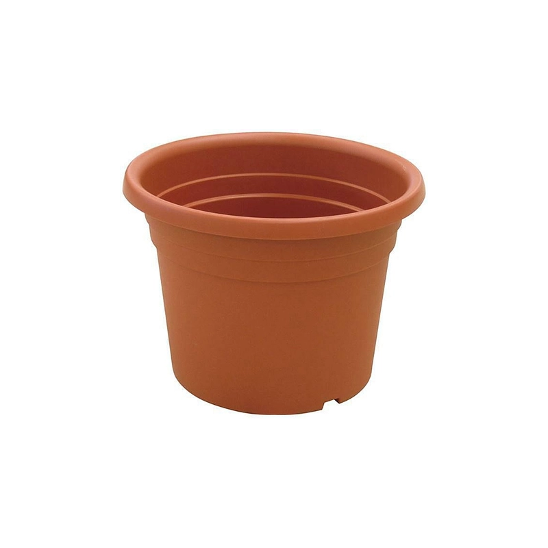 VASI "DAHLIA"