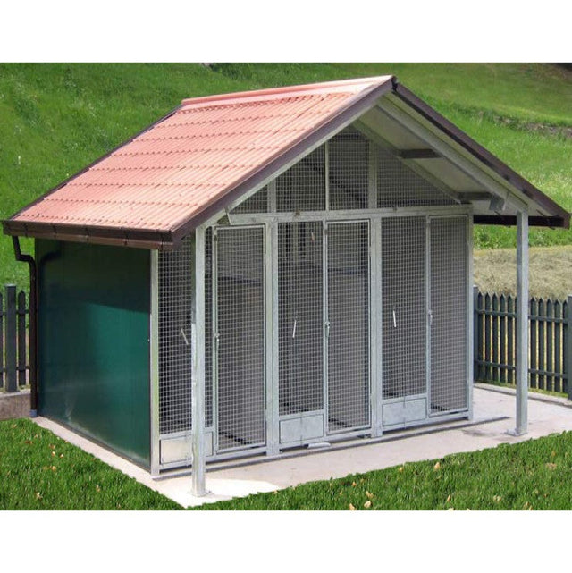 Box per Cani: Guida Tecnica 2025