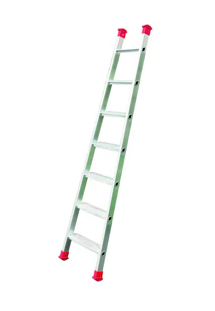 Svelt Convergent - Scale professionali