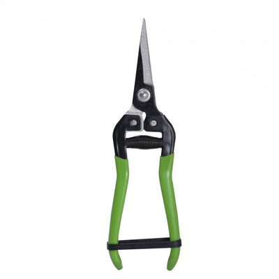 FORBICI Coglifrutta Verdelook