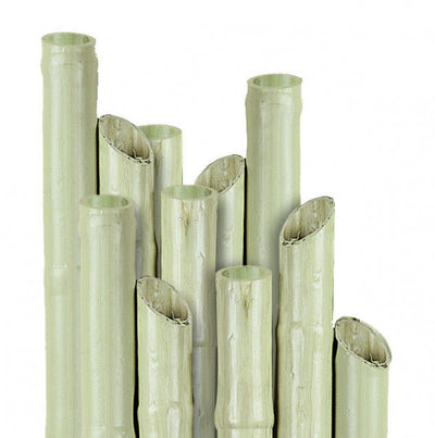 CANNE in Plastica Verdelook