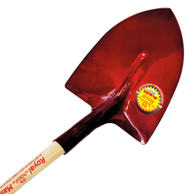 Royal Mass Svizzera - Badili AMES Srl