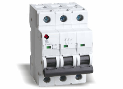 Interruttore magnetotermico Friggeri FR-MG363/10
