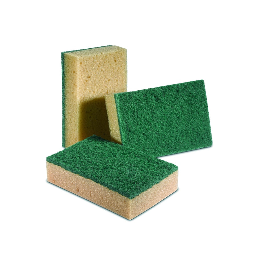 Sponbrown IPC - Macchine per la Pulizia - IPC Worldwide