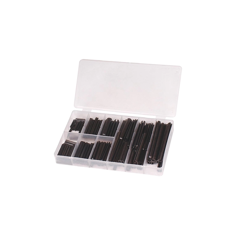 ASSORTIMENTO SPINE ELASTICHE