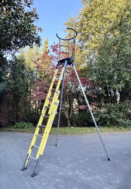Svelt RAPTOR FIBRA - Scale professionali
