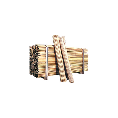 CANNE IN BAMBU'