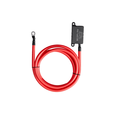 Cavo con fusibile esteso 2 m per caricabatterie da alternatore EcoFlow