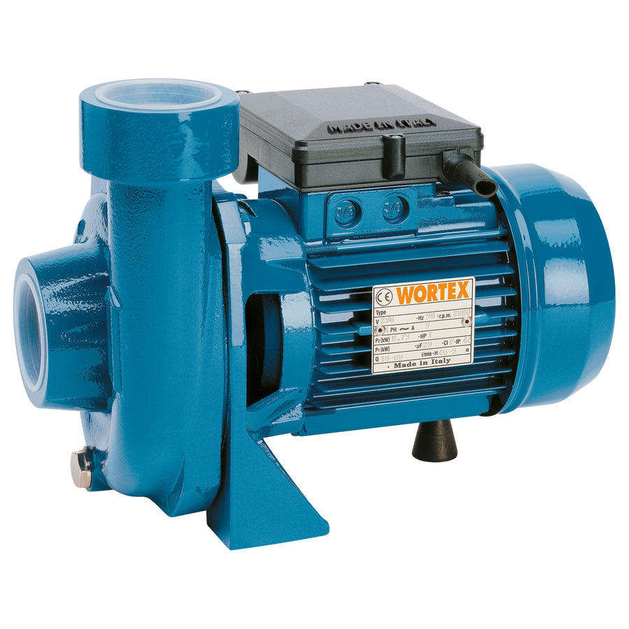 Wortex CF 100/150 - Elettropompe Centrifughe