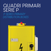VB Electric P Series Primary Panels