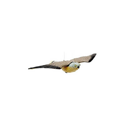 FALCO DISSUASORE