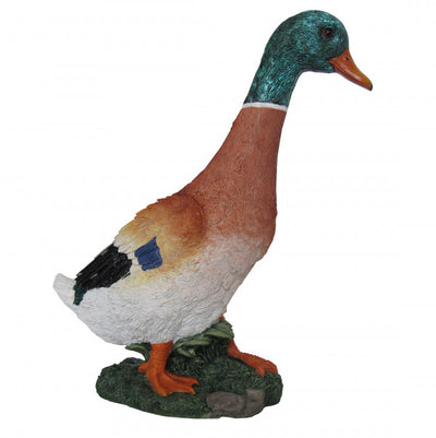 GERMANO REALE Verdelook