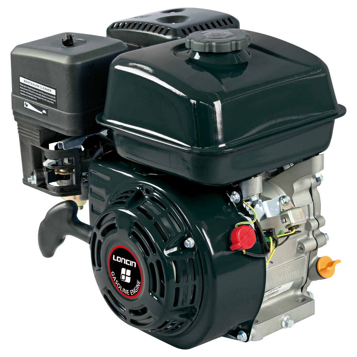 Wortex G 160 F HP 5,5 - Motori benzina