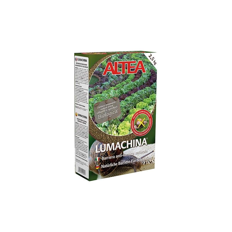 LUMACHINA GRANULARE