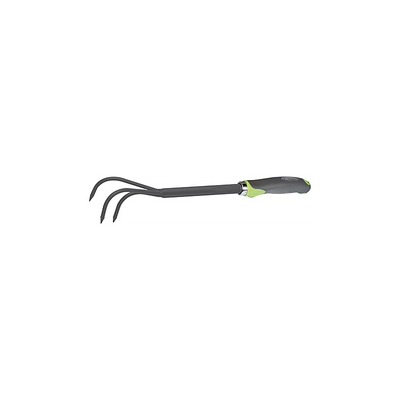 RAGNO 3 DENTI