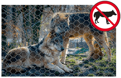 Pasini RETE ANTI LUPO - Reti e Prodotti GEO - Pasini Reti