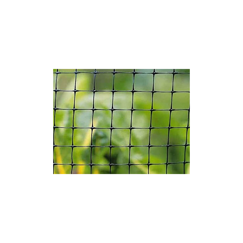 RETE MULTIFLEX