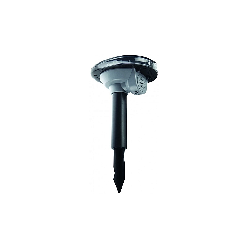 SCACCIA UCCELLI WK0025